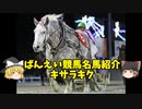 ばんえい競馬名馬紹介～キサラキク