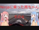 【VOICEROID車載】Ninjaに乗った茜ちゃん　その6【Ninja250】