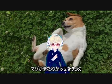 射ルル