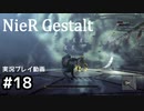 【NieR Gestalt】こんにちは狂気【part18】