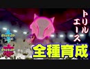 【ポケモン剣盾実況】全種育成その19【ガラガラ】