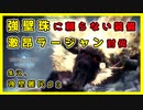 【MHWI】強壁珠に頼らない装備＆激昂ラージャン討伐【モンハンワールド：アイスボーン】