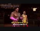 MEGA MANIACS （ホーガン＆ビーフケーキ）Tag Team WWE