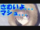 #274 [実況]俺もサーヴァントがほしい！[FGO] 第2部 アナスタシア その4
