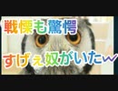【第五人格】Q戦慄の竜巻 イライ使い必見！驚愕のチェイス！【占い師】【芸者対策】【美智子】【カウボーイ】【一等航海士】【戦慄の他力本願動画】【IdentityV】【第5人格】【ぴえん】【dbd】