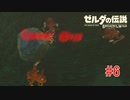 【ゼルダの伝説ブレスオブザワイルド＃6】始まりの台地寄り道珍道中ぱーとに【はるの積みゲー崩し】