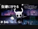 【虫嫌いがやる】Hollow Knight　part34【実況】
