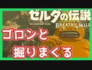 【ゼルダの伝説BotW】バクダンで大体のことは解決する大冒険 part28【実況】