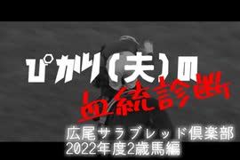 【血統診断】広尾サラブレッド倶楽部 2022年度2歳馬編