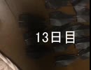 黒折り紙で千羽鶴を作っていく　13日目