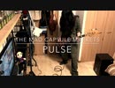 [ 一人LIVE妄想 ] THE MAD CAPSULE MARKETS - PULSE ベース弾いてみた [ Bass Cover ]