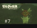 【ゼルダの伝説ブレスオブザワイルド＃7】始まりの台地寄り道珍道中ぱーとさん【はるの積みゲー崩し】