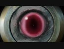 【実況】ウサギを拾っただけなのに【その赤い瞳】【単発】