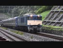 EF64 1032+E235系1000番台クラF-02編成配給 東戸塚通過