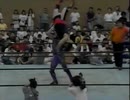 愚乱・浪花 VS ゴルゴン・クロス 95年8月25日 みちのく