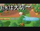 【あつまれ どうぶつの森】　第四十八幕　キャンプサイトと果樹園に水を引き込む工事を行ったのですが、最後の最後で……2