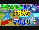 【マリルリ】この可愛さでかなりの馬鹿力！ダイマと相性のいい「マリルリ」が最強！【ポケモン剣盾】