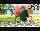 【あつまれどうぶつの森実況】虫好きのとんでもねぇ金づる #20
