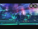 【ゼノブレイドDE】見渡す限り秘境【実況】♯30