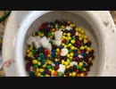 M&M'sとマシュマロをトイレに流してみた３
