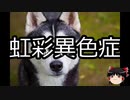【ゆっくり朗読】ゆっくりさんと不思議な病気 その212