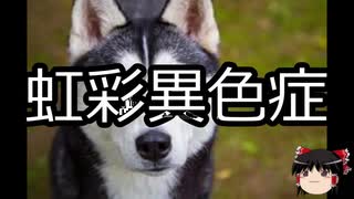 【ゆっくり朗読】ゆっくりさんと不思議な病気 その212