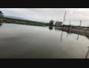 #七原くん 20200713「朝まずめチャレンジ」米無(雷魚朝まずめ枠)
