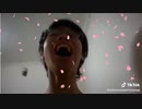キチガイ桜