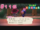 【実況】結局願いはなんだったの？ #116【あつまれどうぶつの森】