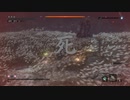 【SEKIRO】カンスト苦難厄憑き剣聖葦名一心ノーダメージ