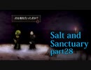 【Salt_and_Sanctuary】2D世界の呪われた島を初見探索【実況】part28