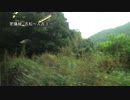 鹿児島本線を旅してみた(肥薩線経由) 吉松～人吉③【矢岳→大畑】