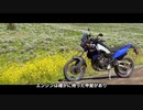 【字幕】テネレ700は本当に特別なバイクなのか by FortNine 【レビュー】