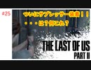 #25 THE LAST OF US PARTⅡ 【 8ビットさん 】