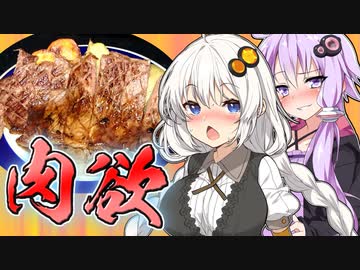 肉焼くゆかりは肉欲ゆかり【ボイロキッチン】