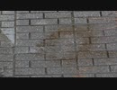 雨の音20200714【作業用BGM】
