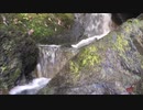 今村格