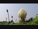 村島弘之