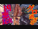 【bloodborne】｜高難易度ブラッドボーン｜凶悪昆虫｜【初見実況】part59