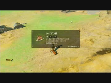 【ゼルダの伝説BotW】最終剣に憧れてBotW part3【初見実況】