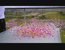 60000mw世界最強レーザーポインター 実験