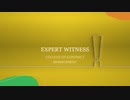 Expert Witness