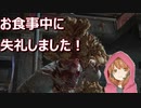 これは復讐の物語(THE LAST OF US PART2)#２８【毎日投稿】