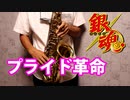 アルトサックスで「プライド革命」(銀魂゜)を吹いてみた