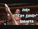 Jake Roberts vs Honky Tonk man WWE (1987.3.29 Detroit)