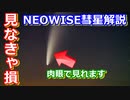 【ゆっくり解説】いま会える彗星！　NEOWISE彗星について解説します