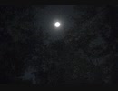 【初音ミク】邪道だ。そういう貴様は誰だー【オリジナル曲】