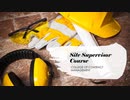 Site Supervisor Course