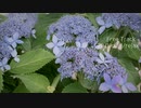 【フリートラック】BPM70.0/chill/relax [freetrack]