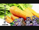【マイクラジオ】最強の匠は俺だ！絶望的センス4人衆がカオスマイクラジオAOA編♯31【4人実況】